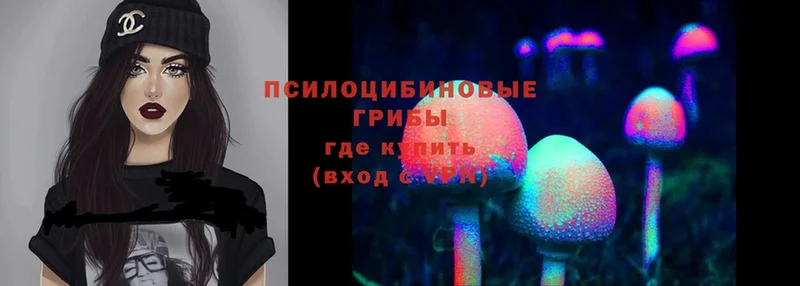 Галлюциногенные грибы Cubensis  купить закладку  Ковров 